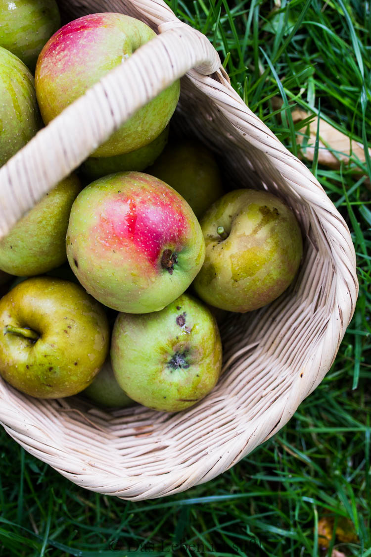 Apfel-Zwieback-Auflauf mit Vanillesoße – DAS LEBEN IST SÜSS!